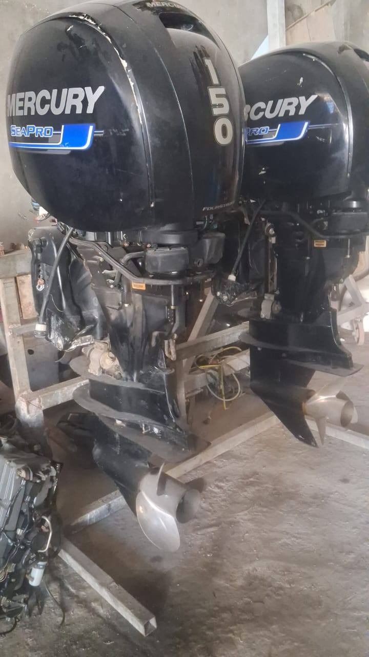 Power Cat 36